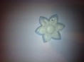 /products/broche-1/