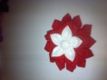 /products/broche-14/